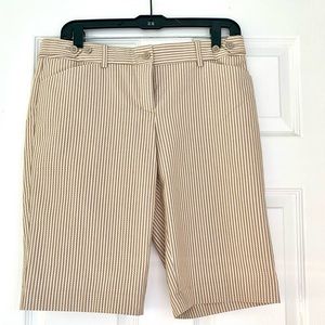 Knee-length Express Editor Dress Shorts